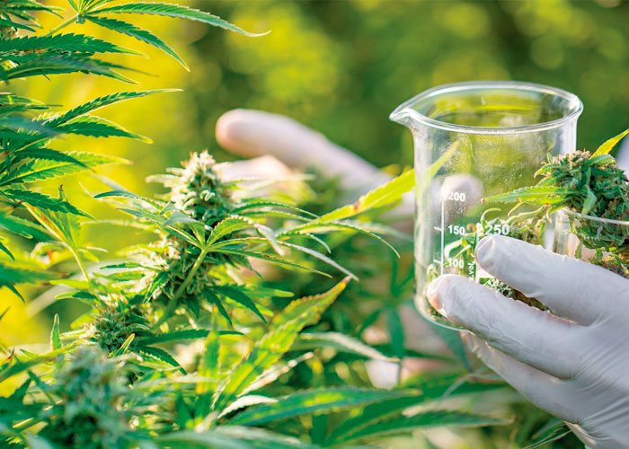 Проблемы в социальной сфере Проблемы в социальной сфере