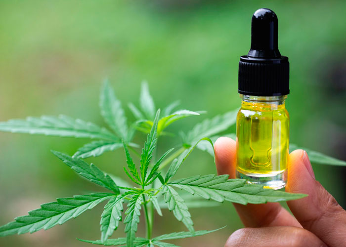 Что такое фитоканнабиоид Что такое фитоканнабиоид