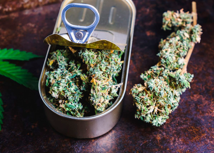 Сушка шишек Сушка шишек