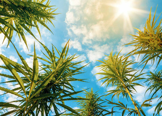 Освещение в аутдорных условиях Освещение в аутдорных условиях