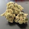 Недорогие семена конопли Grapefruit Diesel feminised Ganja Live Seeds
