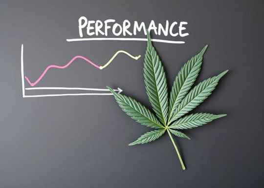 Как каннабис влияет на продуктивность?