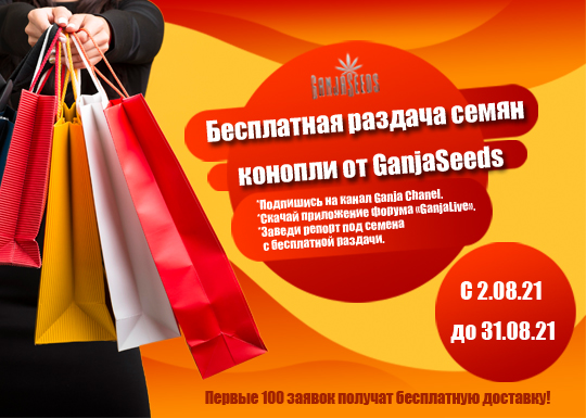 Только в августе! Качественные семена конопли бесплатно!