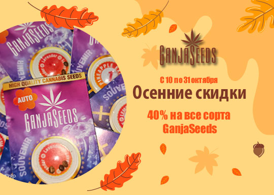 Октябрьский обвал цен с 40% скидкой от GanjaSeeds