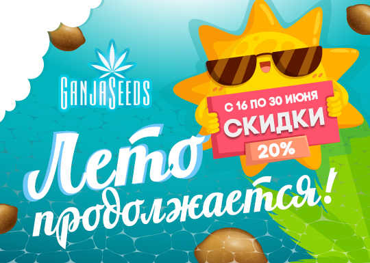 Интересуют акционные цени на любимые сорта конопли?