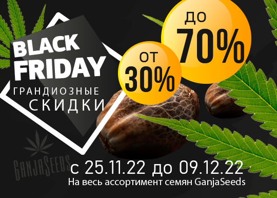 Black Friday – скидки на семена конопли до 70%!